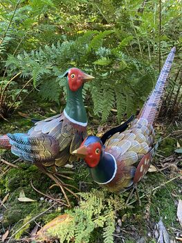 Pair Of Pheasants, 7 of 8