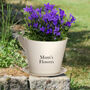 Personalised Cream Tea Cup Planter Gift, thumbnail 1 of 6