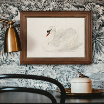 Swan Painting Print, Framed Or Unframed Circa 1700s, 9 of 11