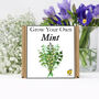 Gardening Gift. Grow Your Own Herbs. Mint Seeds Kit, thumbnail 2 of 4