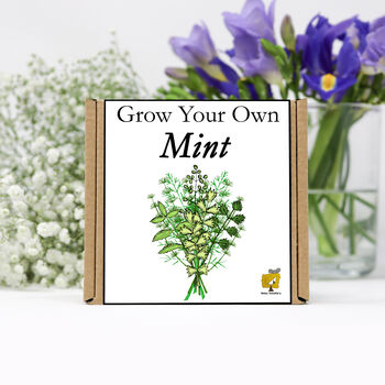 Gardening Gift. Grow Your Own Herbs. Mint Seeds Kit, 2 of 4