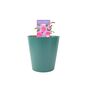 Mum In A Million Rose Bush – Fragrant Pink Gift Rose, thumbnail 5 of 7