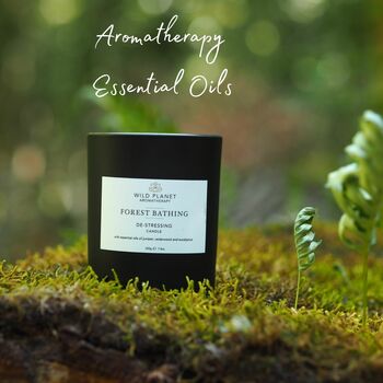 Forest Bathing Aromatherapy Vegan Candle, 3 of 12