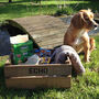 Pesonalised Crate For Cats Or Dogs, thumbnail 4 of 7