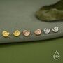 Sterling Silver Ammonite Shell Stud Earrings, thumbnail 3 of 12