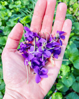 Medium Necklace With Violets, Purple And Yellow Flowers, 3 of 12