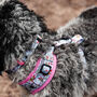 Flower And Bee Design Dog Harness, thumbnail 9 of 11