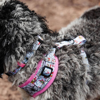 Flower And Bee Design Dog Harness, 9 of 11
