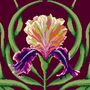 Iris Istable, thumbnail 4 of 8