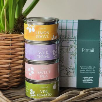 Greenhouse Candle Gift Set, 2 of 7