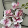 Large Pink Phalenopsis Orchid In Silver Fluted Bowl, thumbnail 2 of 9
