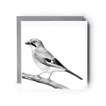 Jay Bird – Hand Drawn Woodland Greeting Card Illustration, 3 of 6