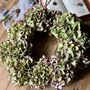 Dried Hydrangea Wreath With Frayed Cotton Ribbon, thumbnail 7 of 7