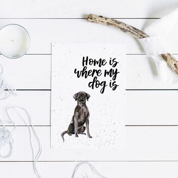 Home Is Where My Dog Is Black Labrador Print, 2 of 5
