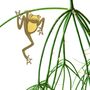 Australia Plant Animal Set Of Three Koala, Bushbaby And Frog Brass Houseplant Decoration, thumbnail 4 of 4