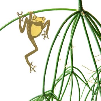 Australia Plant Animal Set Of Three Koala, Bushbaby And Frog Brass Houseplant Decoration, 4 of 4