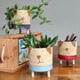 Dog Plant Pots With Legs Handmade Ceramic Tripot, thumbnail 8 of 8