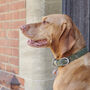 Vizsla Dog ID Name Tag, thumbnail 8 of 8