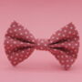 Pink Polkadot Dog Bow Tie, thumbnail 9 of 9