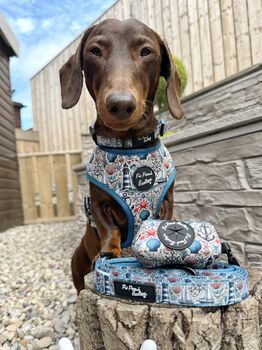 Shipwrecked Nautical Dog Collar, 6 of 9