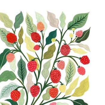 Raspberry Art Print, 5 of 6