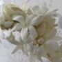 The Lilian Bridal Hairpiece, thumbnail 4 of 12