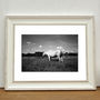 White Horse, France Photographic Art Print, thumbnail 1 of 4