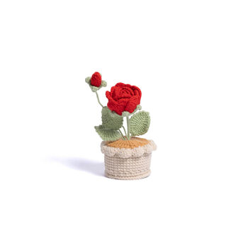 Mother's Day Limited Edition｜Eternal Rose Crochet Pot Plant, 6 of 6