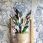 Stromanthe Princess Triostar Stained Glass Plant, thumbnail 1 of 4