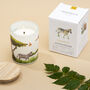 Sustainable Citrus Scented Soy Candle | Christmas Gift For Nature Lovers, thumbnail 3 of 6