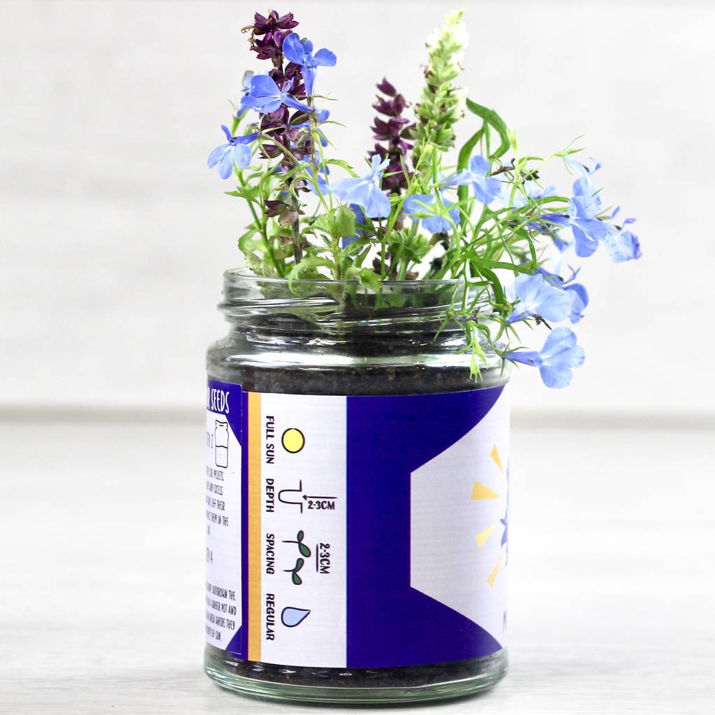 personalised happy wildflower grow kit by beecycle