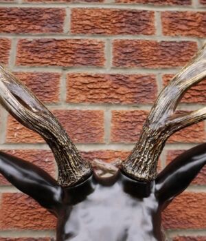 Wall Mounted Stag Head, 3 of 4