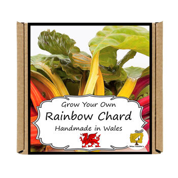 Gardening Gift. Rainbow Chard Veg Growing Kit, 4 of 4