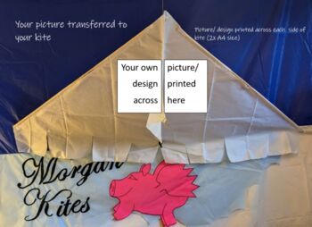 Custom Printed Delta Kite, 5 of 10