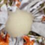 Print Scrunchie, Lighweight Soft Cotton, thumbnail 6 of 13