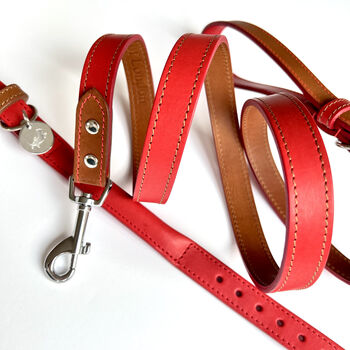 Red Leather Dog Lead, 3 of 6