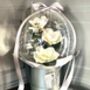 Sending Love, Magnolia Flower Bouquet, Special Occasion, thumbnail 4 of 7
