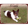 Personalised Pet Photo Quality Vintage Metal Sign, thumbnail 3 of 7