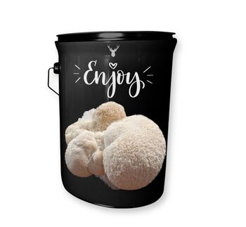 'Enjoy' Lion's Mane Mushroom Grow Kit, 4 of 4