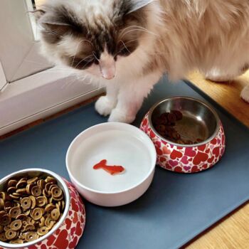 Goldfish Cat Water Bowl, 2 of 5