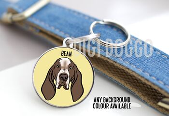 Bracco Italiano ID Tag, 3 of 5