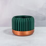 Forest Trilinear Planter, thumbnail 3 of 4