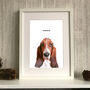 Personalised Pet Portrait Colour Illustration, thumbnail 6 of 12