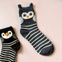 Striped Owl Three Pairs Of Socks In A Gift Box, thumbnail 3 of 8