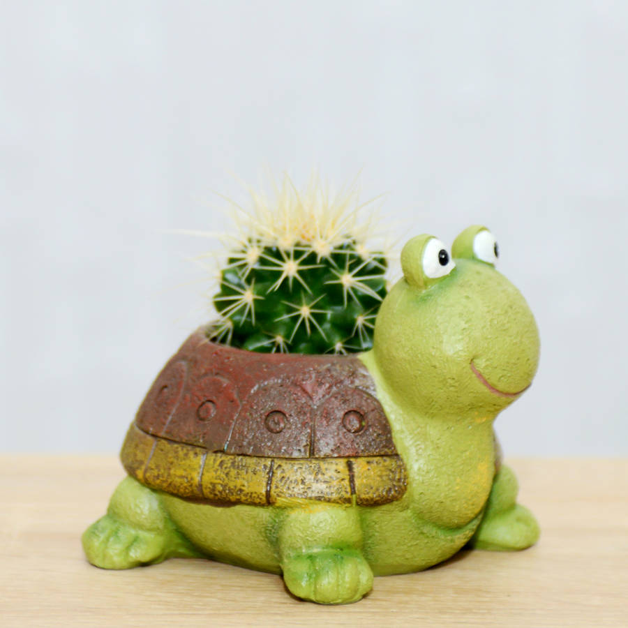 Turtle Planter With A Plant By Dinga Ding Terrariums