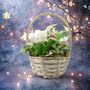 Large White Christmas Indoor Plant Basket Gift, thumbnail 1 of 3
