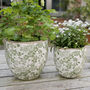 Green Meadow Flower Ceramic Plant Pot, thumbnail 2 of 2