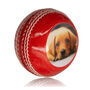 Personalised Cricket Ball Photo Printed, thumbnail 1 of 9