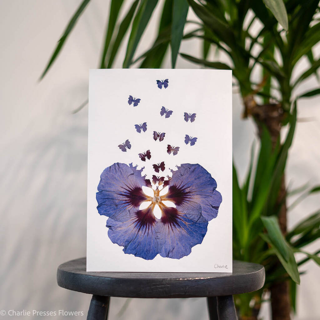 Blue Hibiscus With Butterflies A4 Pressed Flower Print, 1 of 2