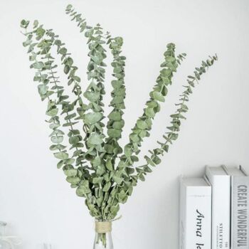 Eucalyptus Wreath With Natural Branches Stem, 3 of 6